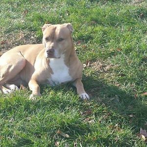 Meet your Posher, Audrey